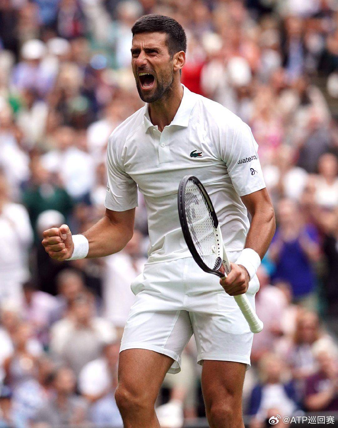 淀的不只是 淀的不只是